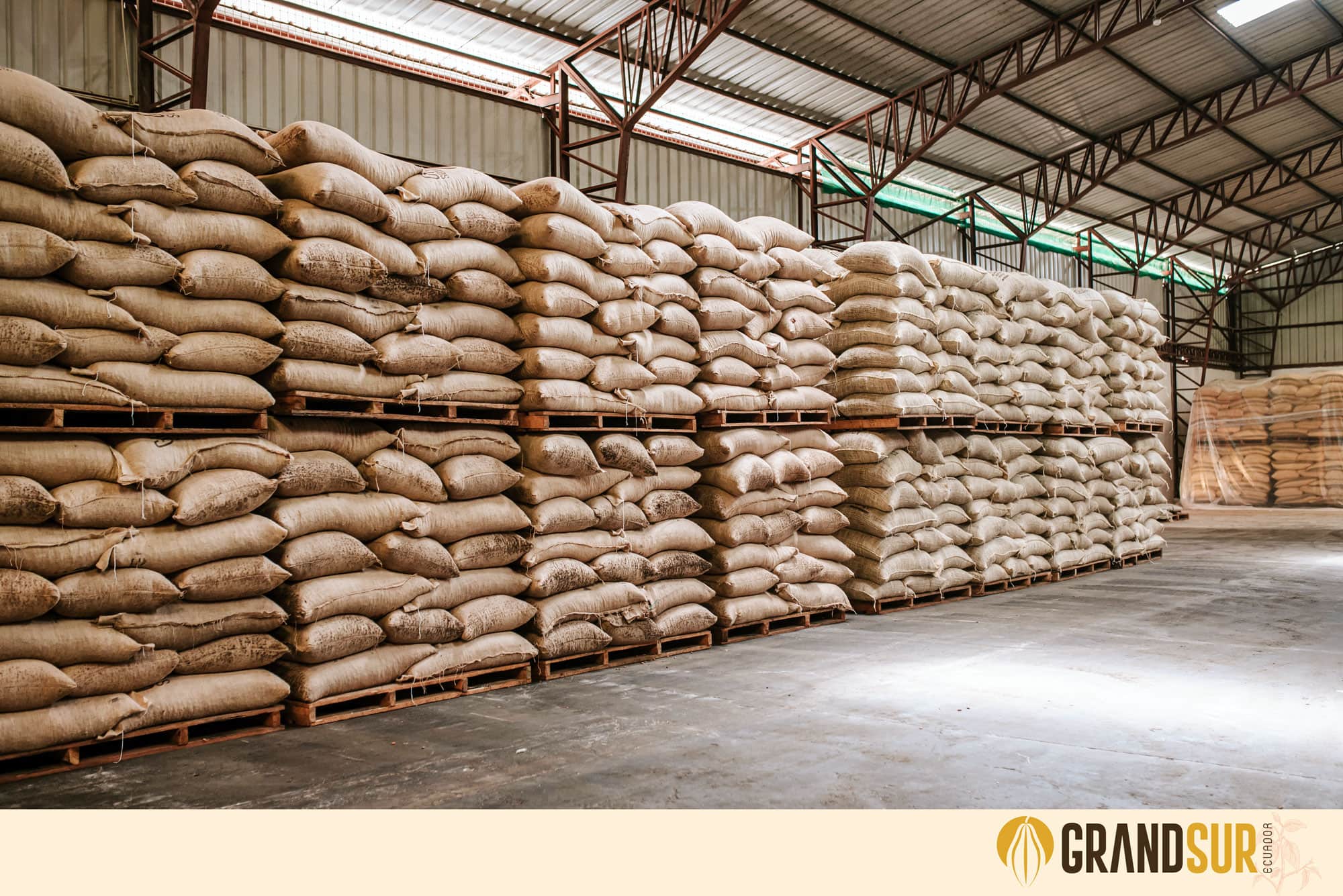 Cocoa storage warehouse