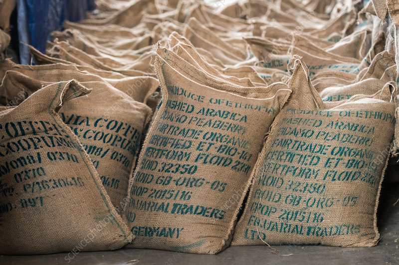 Coffee or cocoa bags ready for export